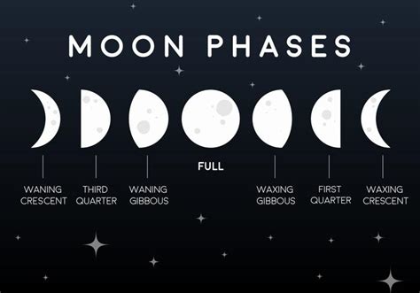 Vector Flat Moon Phases Icons 109549 Vector Art at Vecteezy