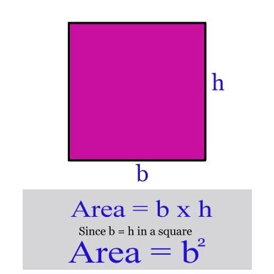 Miss Kahrimanis's Blog: Area of squares, rectangles and parallelograms.