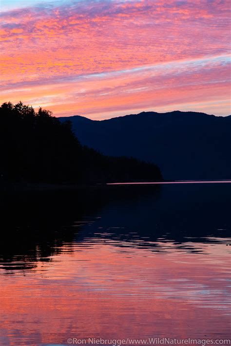 Tongass National Forest | Photos by Ron Niebrugge