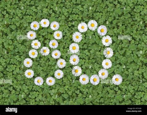 Number 80 hi-res stock photography and images - Alamy