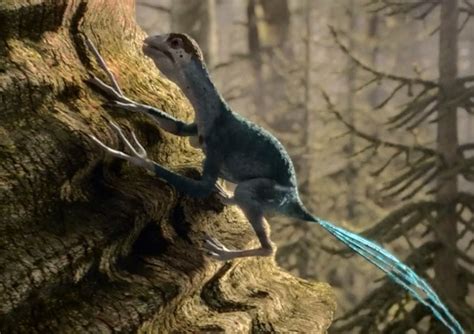 Epidexipteryx Pictures & Facts - The Dinosaur Database