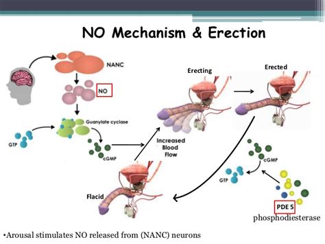 Erectile dysfunction (ED) - Causes | symptoms | treatment ...