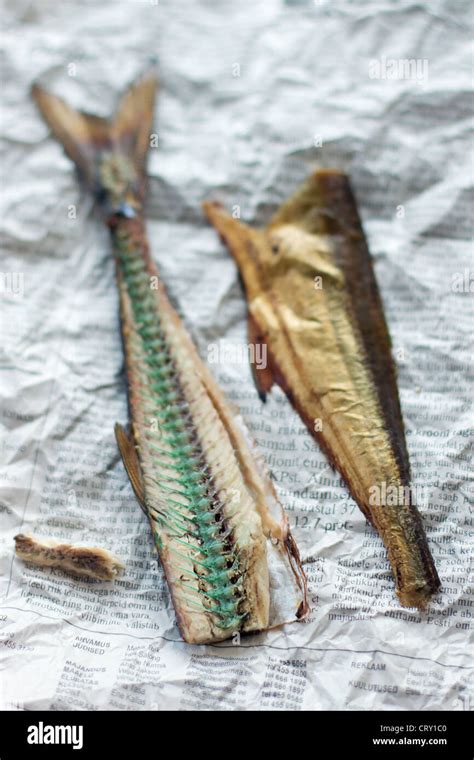 Garfish bones hi-res stock photography and images - Alamy