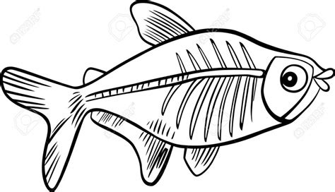 X-ray fish coloring page