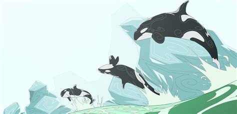 Orca Vector by Gelsvector on DeviantArt