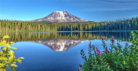 Gifford Pinchot National Forest