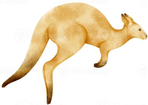 Watercolor kangaroo illustration 9373187 PNG