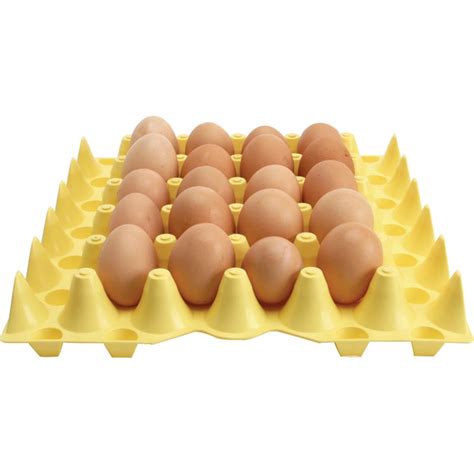 30-Egg Plastic Tray - FarmTek