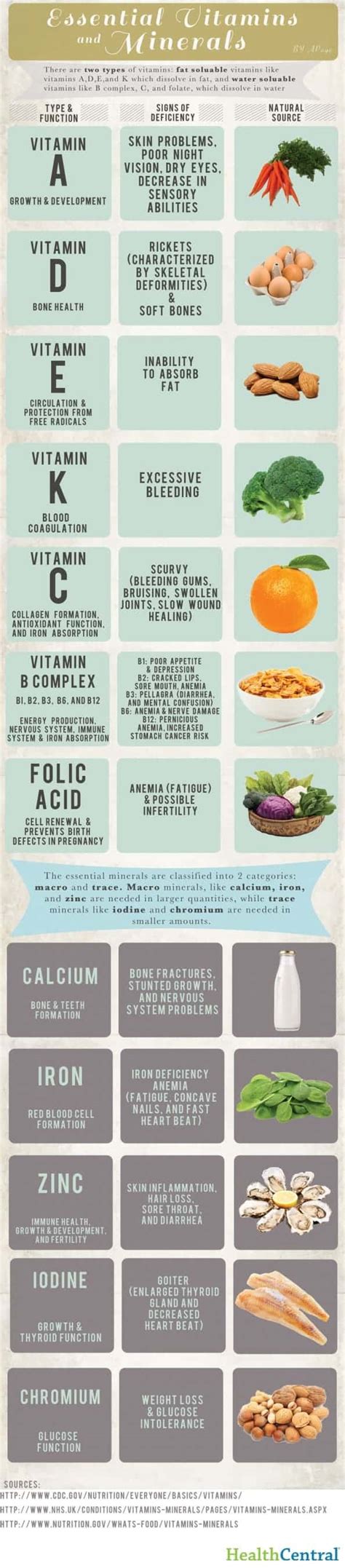 Essential Vitamins and Minerals | Daily Infographic