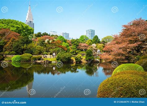 Shinjuku Gyoen with Cherry Blossom in Tokyo, Japan Stock Image - Image of blossom, imperial ...