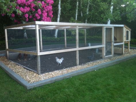 Large Chicken Run Ideas