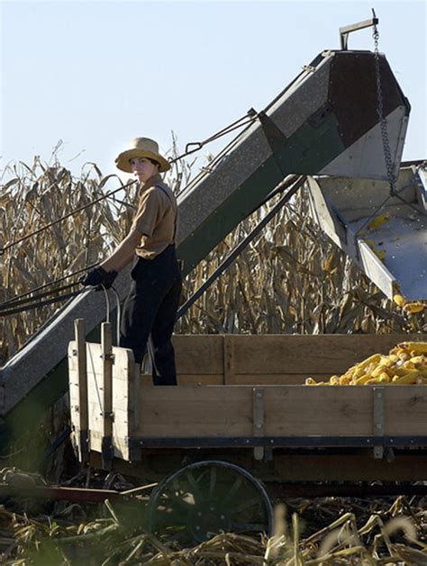 Inside Amish life - Photo 1 - CBS News