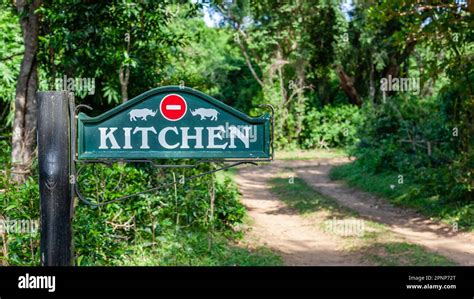 Wilderness Wildlife Bush Safari Camp Sign Kitchen words direction in thick tropical environment ...