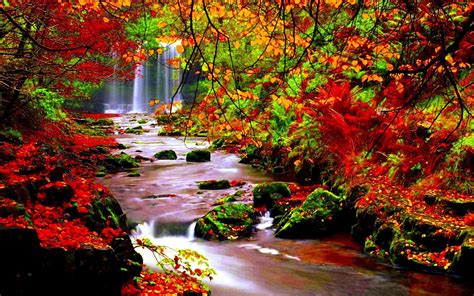 Relaxing Autumn Day Wallpapers - Top Free Relaxing Autumn Day Backgrounds - WallpaperAccess