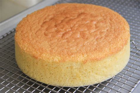 Sponge Cake Recipe – Japanese Cooking 101