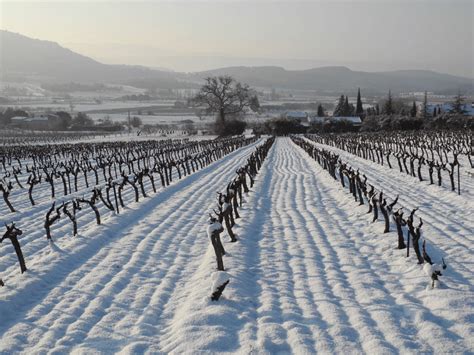 Provence: Winter In Provence I