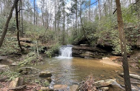 10 Best trails and hikes in South Carolina | AllTrails