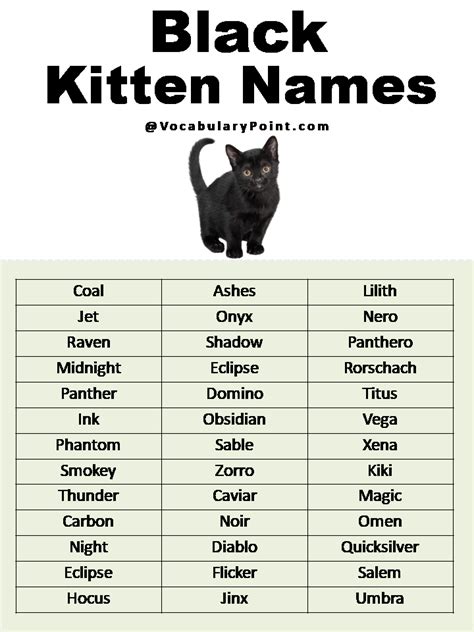 200+ Best Black Cat Names (Unique & Badass) - Vocabulary Point