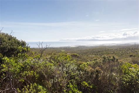 Grootbos Private Reserve, Cape Floral Region, South Africa