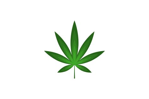 Cannabis Leaf Vector Gráfico por sabavector · Creative Fabrica