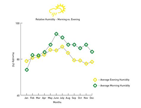 Wellington Weather - Infographic poster on Behance