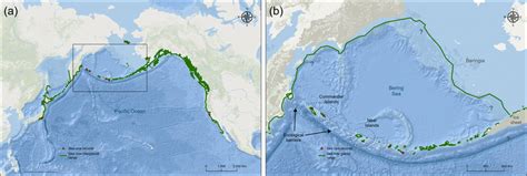 Steller’s sea cow (Hydrodamalis gigas) range reconstructions (a ...