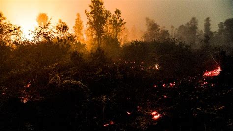 Polri: 14 Korporasi Tersangka Kasus Kebakaran Hutan dan Lahan | Companies House Indonesia