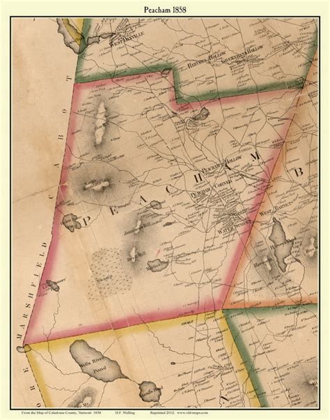 Peacham, Vermont 1858 Old Town Map Custom Print - Caledonia Co. - OLD MAPS