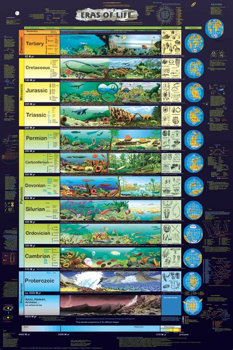 Timeline of life evolution on earth - Motivation