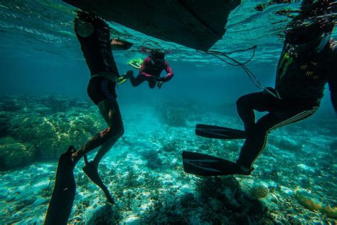 Snorkeling Tubbataha: Exploring Palawan's Coral Garden of Eden