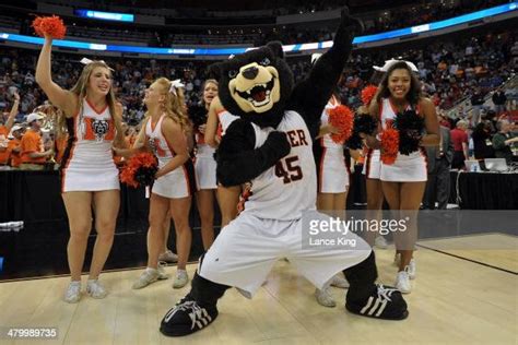 The mascot and cheerleaders of the Mercer Bears celebrate following... News Photo - Getty Images