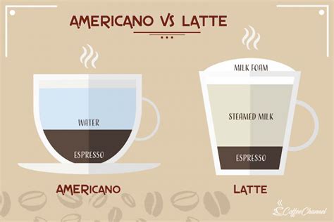 Americano vs Latte: What's the Difference? - Coffee Affection