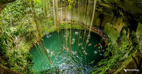 11 Cenotes en Yucatán donde nadar es toda una Aventura