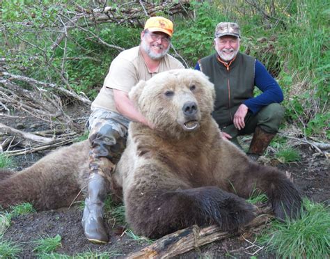 9-Day Alaska Peninsula Brown Bear Hunt for One Hunter