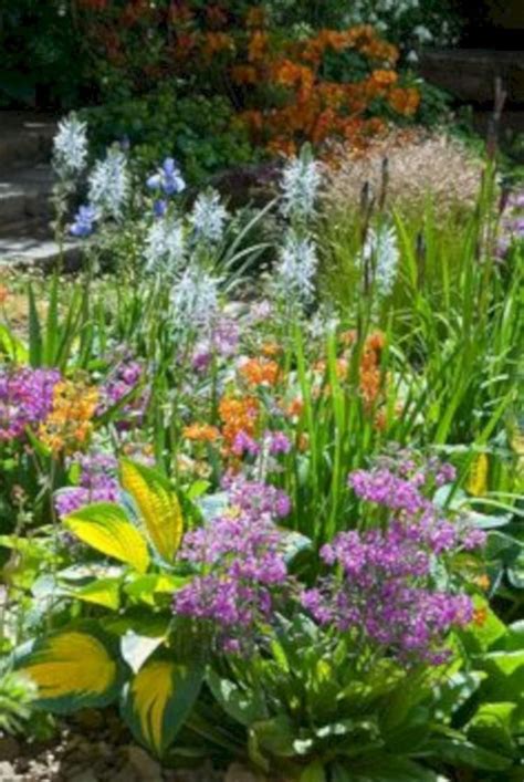 25+ Best And Beautiful Iris Garden Ideas For Your Yard Inspiration | Planting flowers, Flower ...