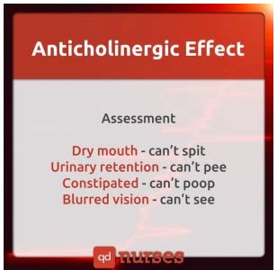 Oral Antihistamines Flashcards | Quizlet