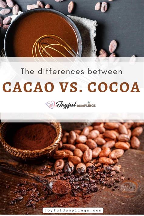 Cacao vs Cocoa – The Real Differences Between Cocoa and Cacao Revealed! » Joyful Dumplings