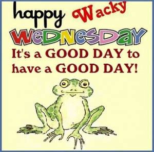 Wacky Wednesday Quotes. QuotesGram