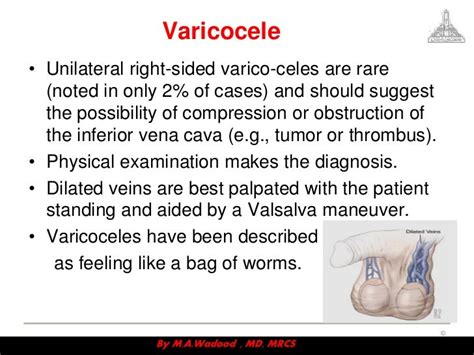 Scrotal disorders