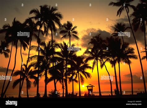 Sunset Waikiki Beach Waikiki Oahu Hawaii USA Stock Photo - Alamy