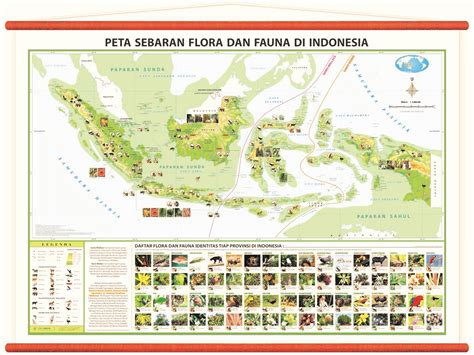 Gambar Pembagian Persebaran Flora Fauna Indonesia Materi Belajar Peta ...