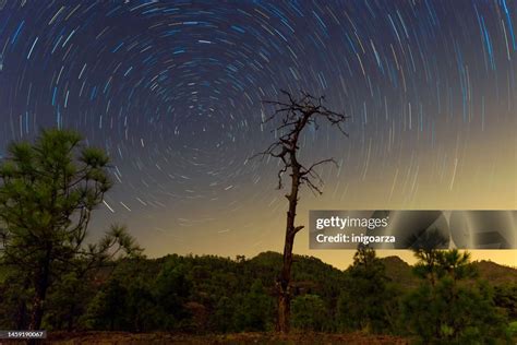 Circumpolar Night Sky In The Forest Gran Canaria Canary Islands Spain ...