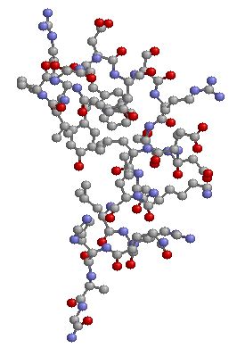 Hidrólisis de proteínas