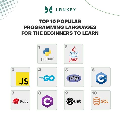 Top 10 Popular Programming Languages for the Beginners to Learn