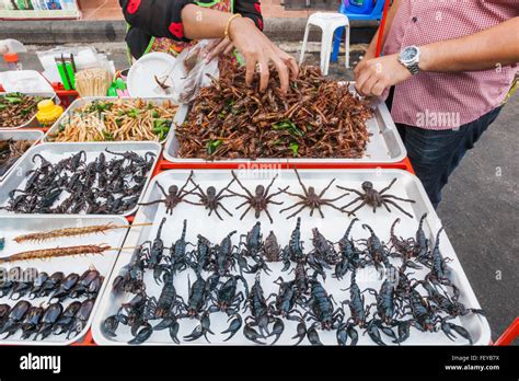 Thailand, Bangkok, Khaosan Road, Street Vendors Display of Fried Insects Stock Photo - Alamy