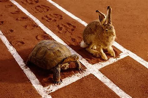 Why Slow and Steady Wins the Race | Entrepreneur