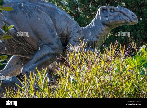 Large dinosaur (Hadrosaur) bronze sculpture at the entrance to the ...