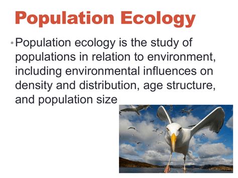 Population Ecology