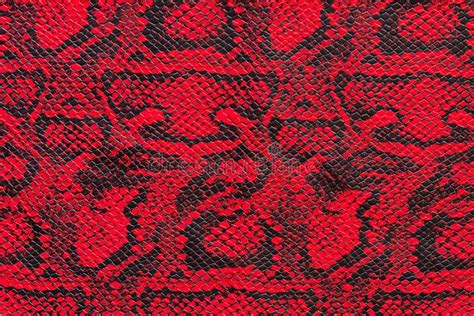 Texture of Synthetic Red Snake Skin Stock Image - Image of scale, python: 159442535