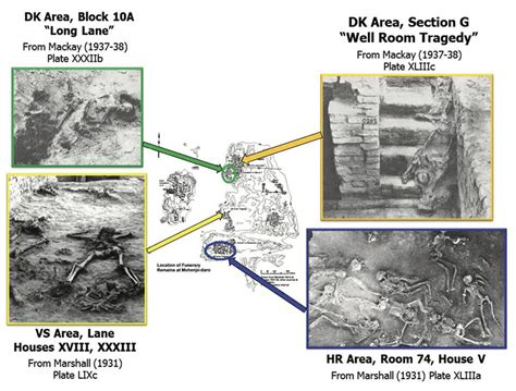 Who Were the ‘Massacre Victims’ at Mohenjo-daro? A Craniometric Investigation | Harappa